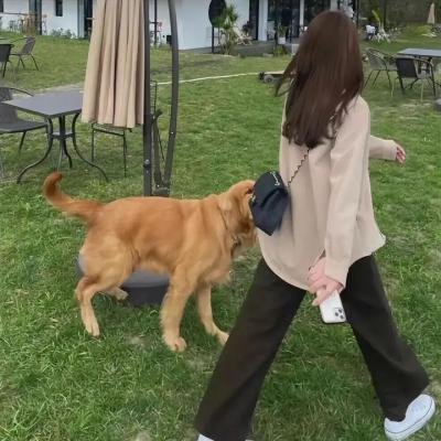 强棒奶娃